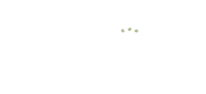logo in bianco stampatello