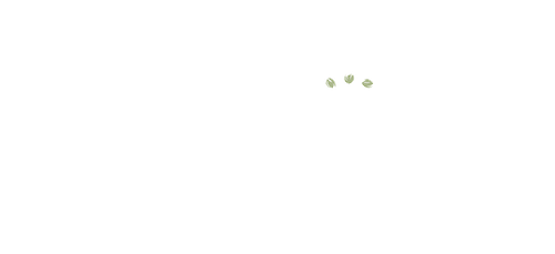 logo in bianco stampatello